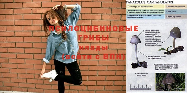 скорость mdpv Абаза