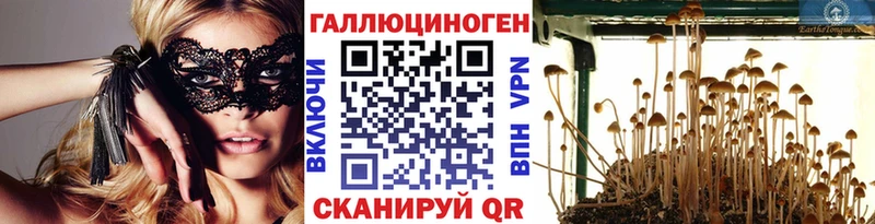Псилоцибиновые грибы ЛСД  даркнет сайт  Иноземцево 